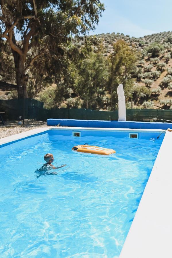 Apartmán Experience Alpacas In Andalucia Córdoba Exteriér fotografie