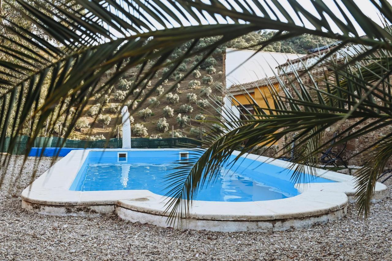Apartmán Experience Alpacas In Andalucia Córdoba Exteriér fotografie