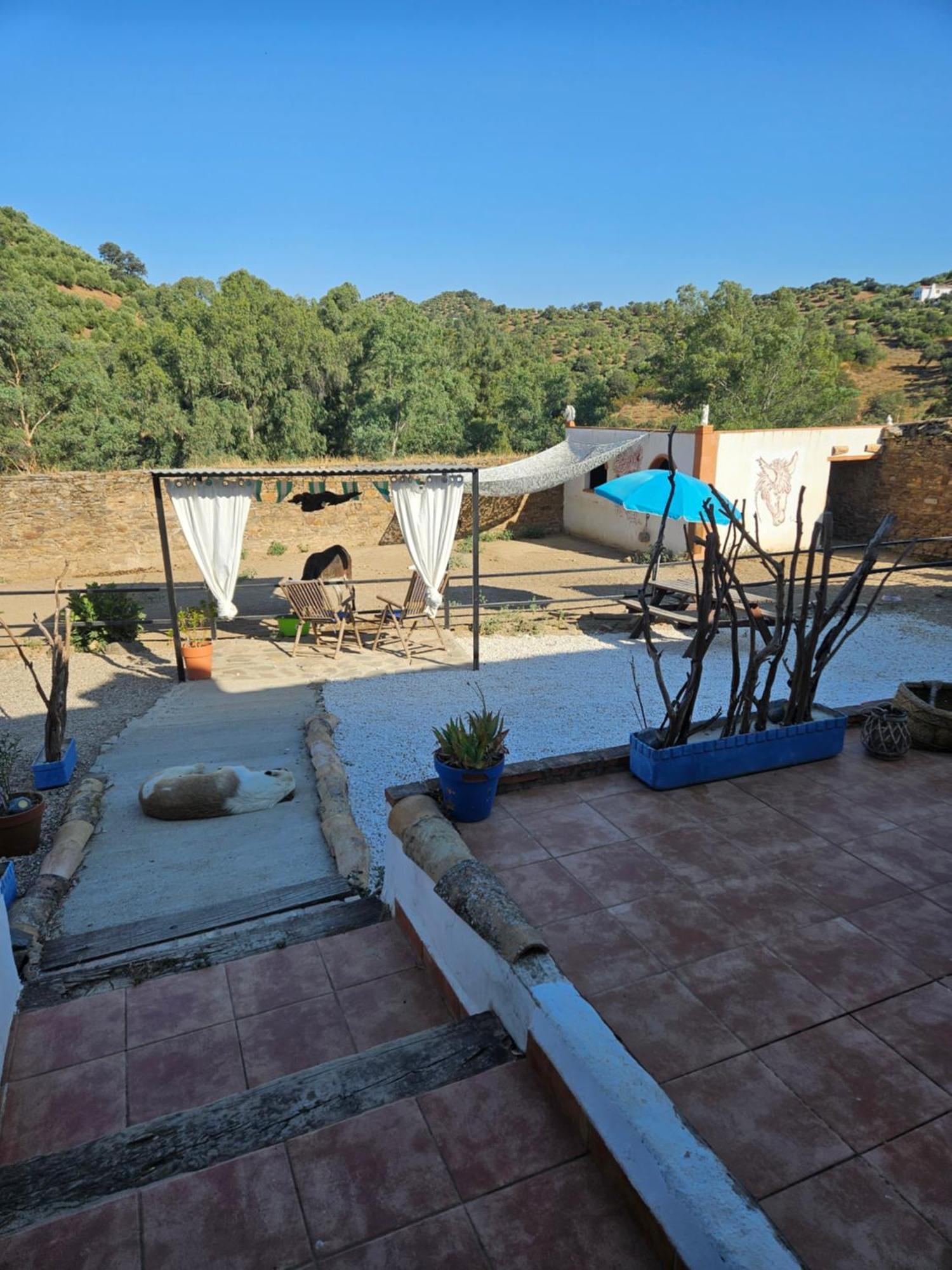 Apartmán Experience Alpacas In Andalucia Córdoba Exteriér fotografie