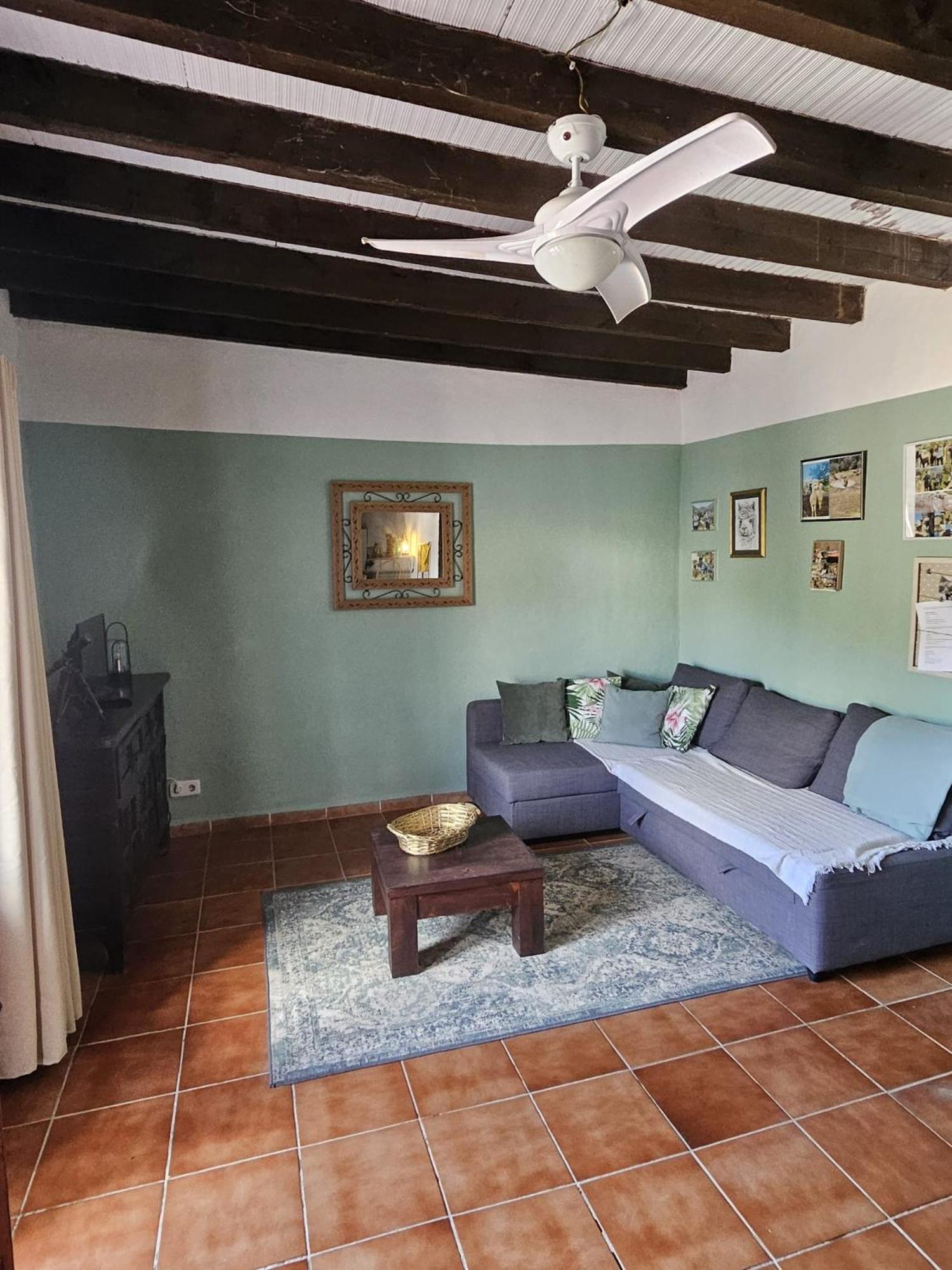 Apartmán Experience Alpacas In Andalucia Córdoba Exteriér fotografie
